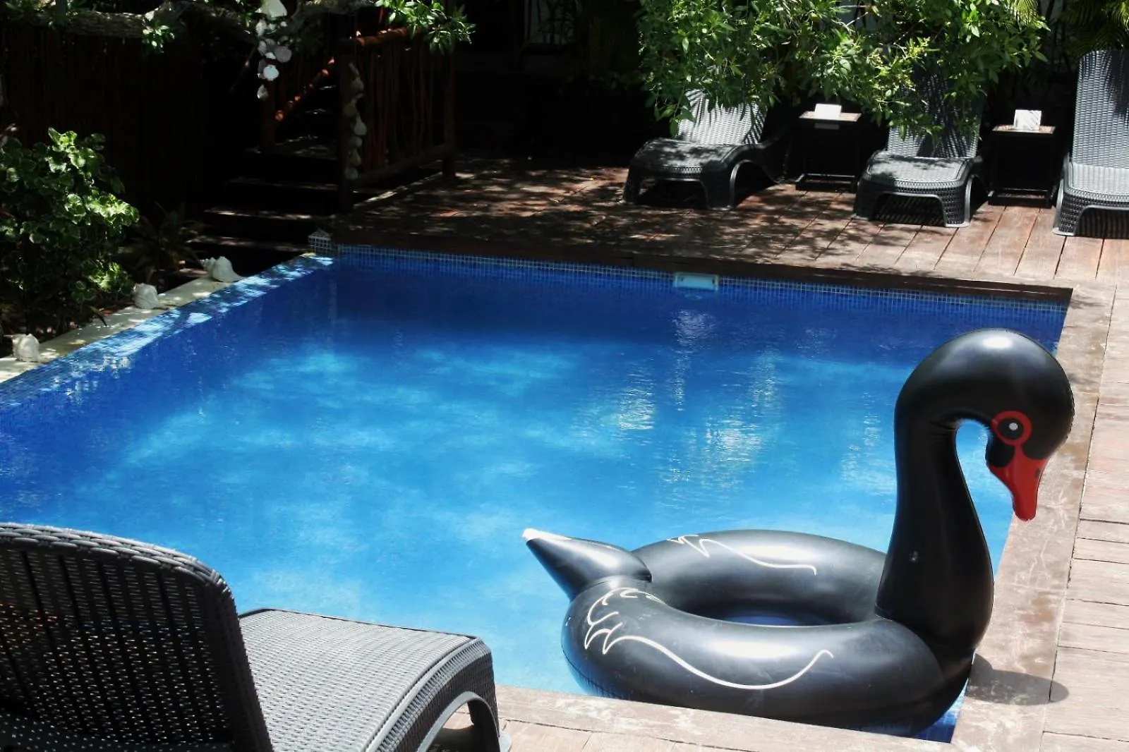 ****  Hotel Casa Hx - Adults Only Isla Holbox Mexico