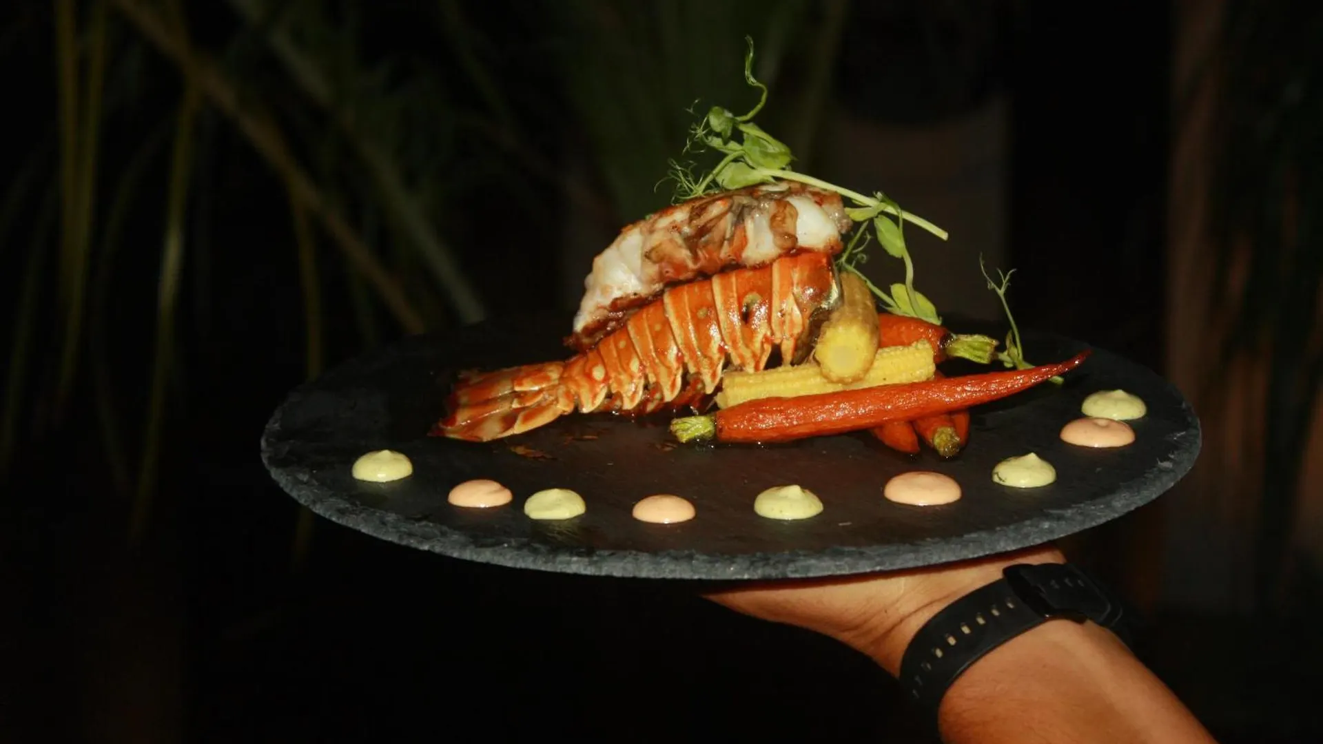 Hotel Casa Hx - Adults Only Isla Holbox